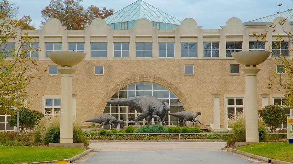 Fernbank-Museum